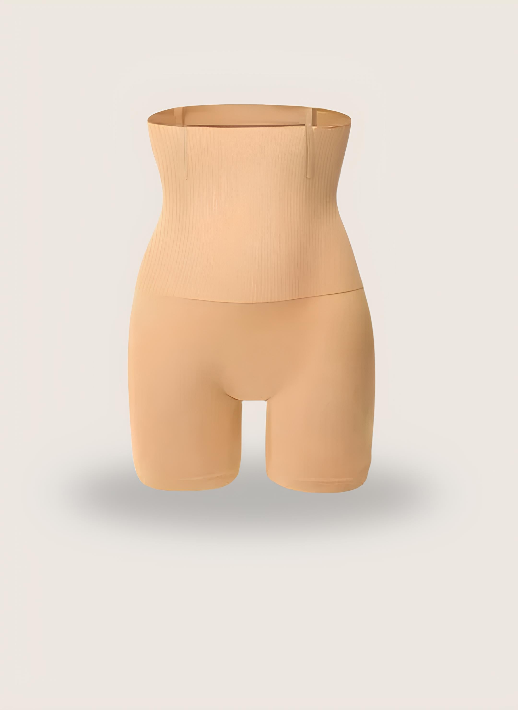 Cinta Renova- Elefantiino